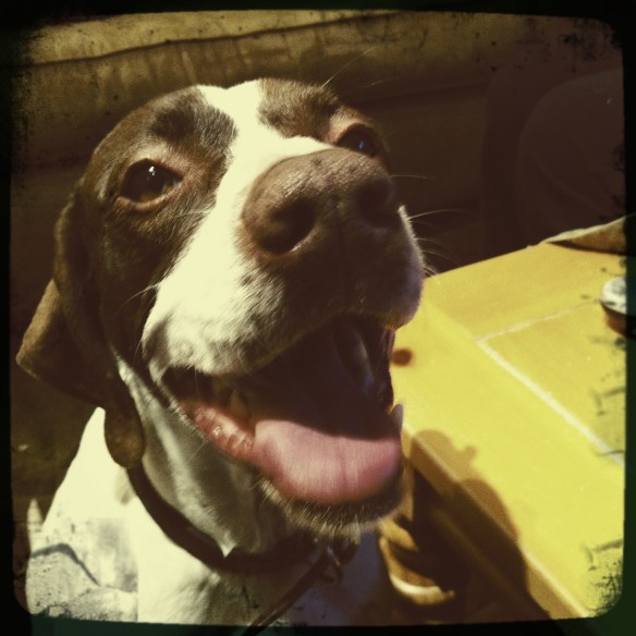 "She's not a dog, she's his daughter"