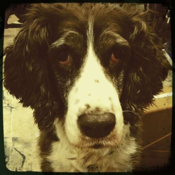 "She's like your crazy old aunt"