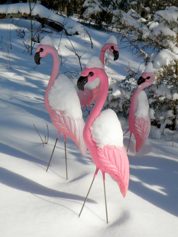 I love kitsch and I love it unusual places. I have had lawn flamingoes in the front lawn of every home I have ever owned.