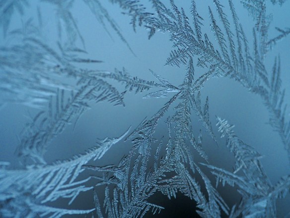 Star towards the sky