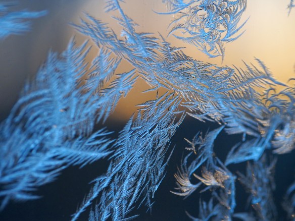 Wisps in the sunrise