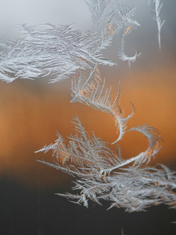 A sweet spot in the sunrise