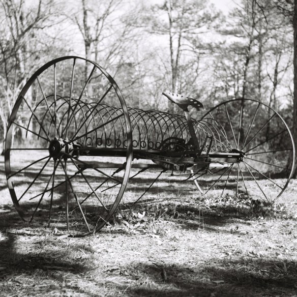 I shot this with the aperture closed down for more detail.