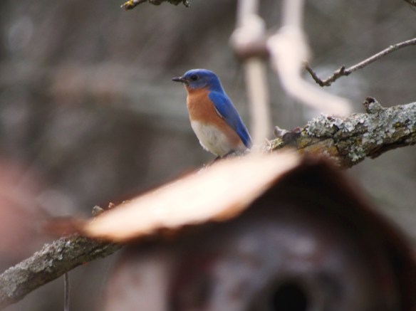 Mr. Happiness takes a look around