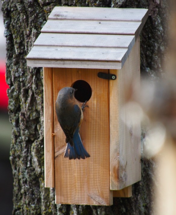 Mrs. Happiness takes a look inside...
