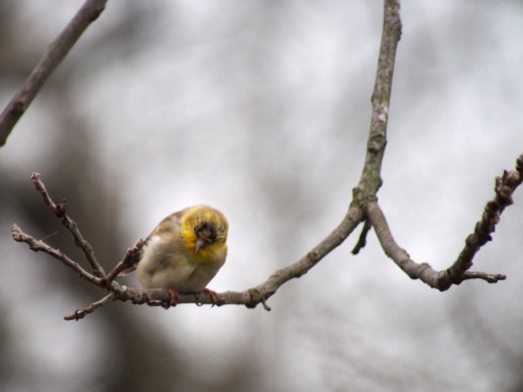 Where'd she go? She's not down there...