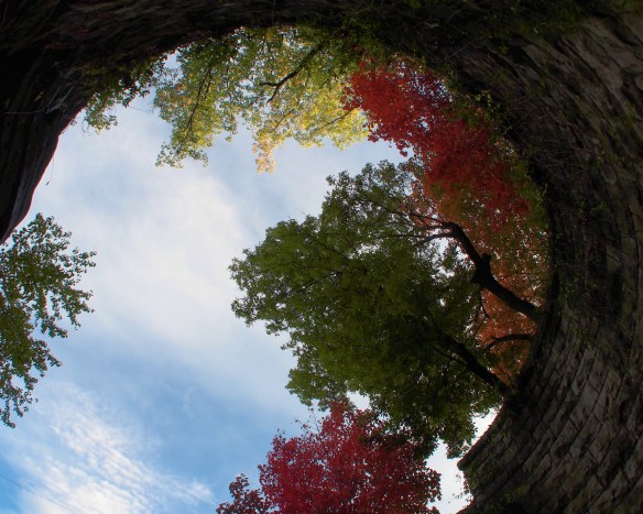 This masonry really is almost a full circle - the fisheye lets me show you that because I can get the whole perimeter in the frame. To get this view I would need to be almost underground with a standard lens.