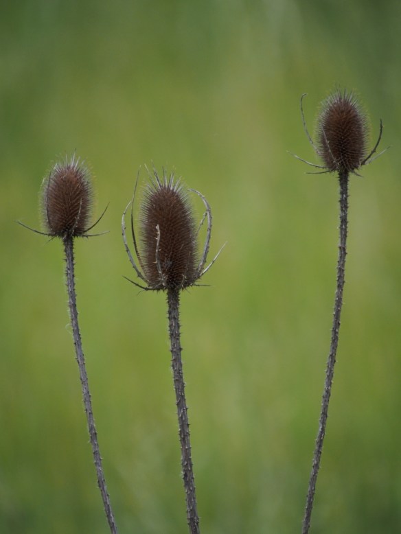 I've been overwhelmed by my instant audience for my work - I appreciate you all.