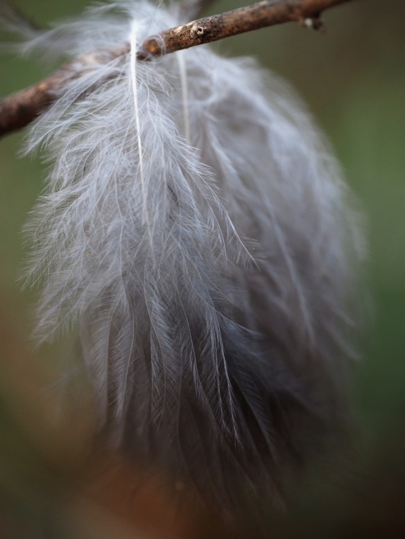 ...another view of the debris from the impact - the breeze makes the lower portion blend together.