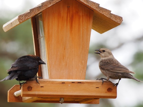 Hey there, handsome....