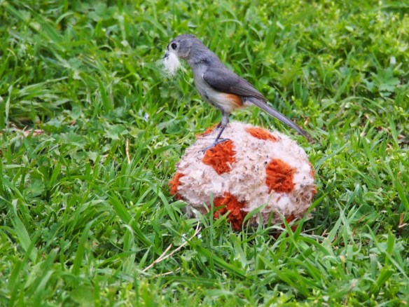 Success! Perfect for feathering my nest!