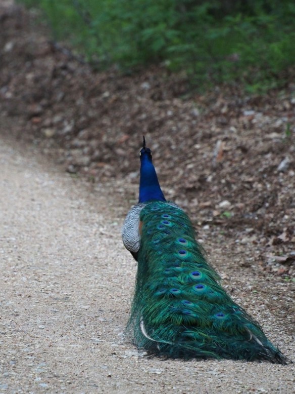 Ready for a hot date.