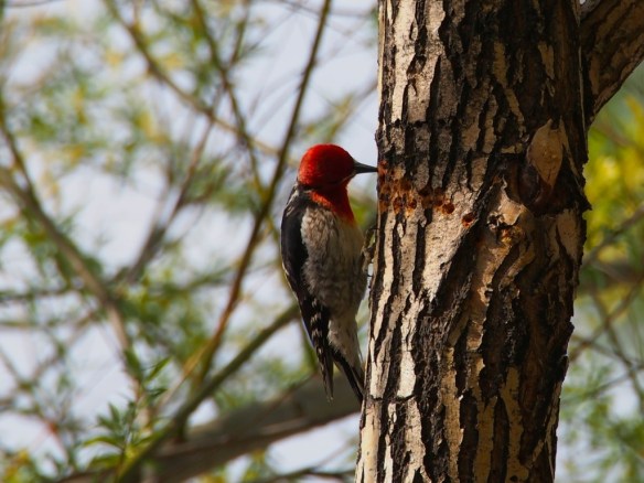 ...always remember to punch in.