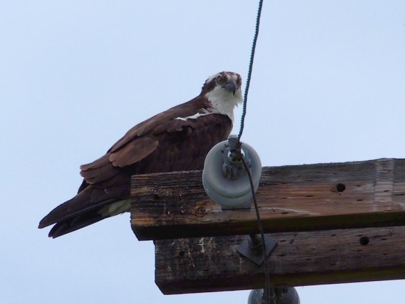 I'm so blindingly handsome...