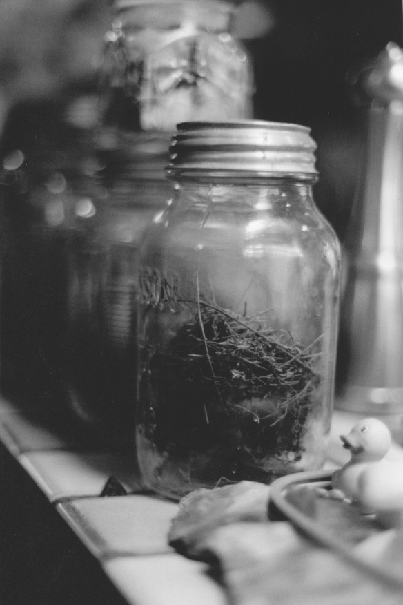 Mason Jars Full of Bird Nests