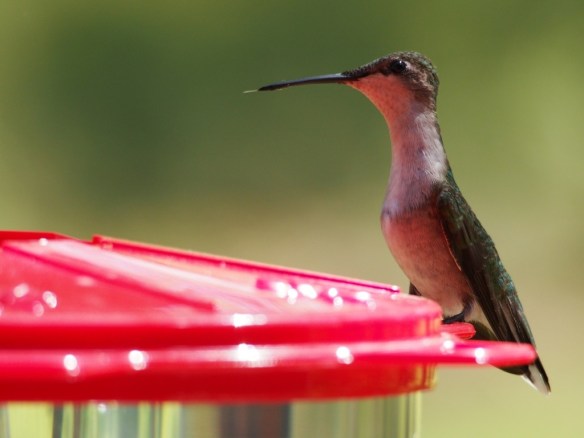 Going the extra mile to spot the threar