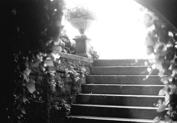 Shooting into the Sunlight at Grotto Spring - Eureka Springs, Arkansas