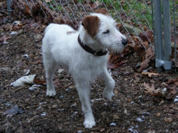 Cloud (Kirby's) first day at the Stone House
