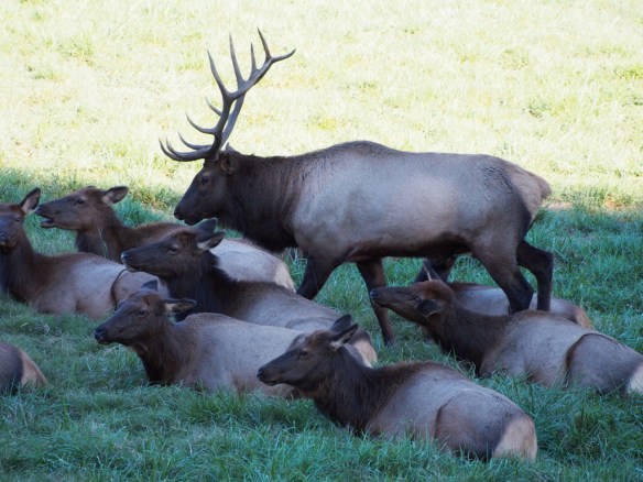Pretty Boy sees a threat and moves into action.