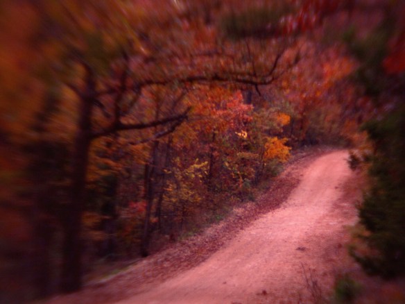 My road at sunset - by choosing that one spot of brighter color in the distance to bring into focus, I make your eye look down the road and into the photo. 