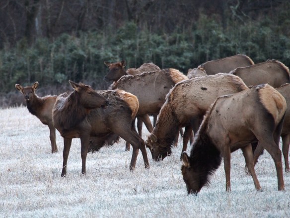 It all begins with the crowds lining up to get a look at sales and specials.