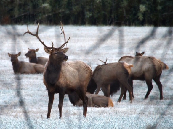 They're opening the doors - I'm headed straight for that shiny new crock pot!