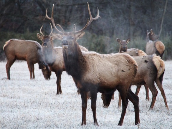 Listen up! Don't even think about heading to the crock pots - that new red Sunbeam is mine!
