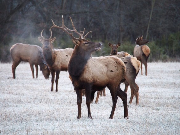 I'm not kidding - I will fight you for that crock pot! Don't even think about it!