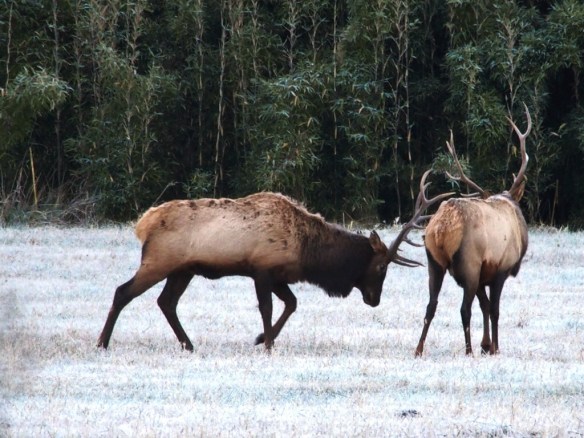 There is no way I'm losing out on this crock pot to a crack pot like you!
