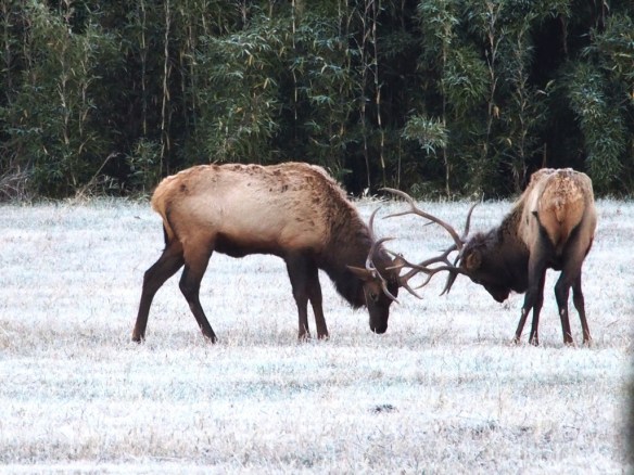 I'm gonna have to dig deep to hold onto this crock pout!