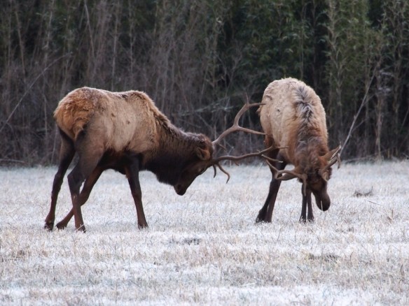 I can fight on forever knowing that I will get 20% off that crock pot! Savings like that fuel my fire!