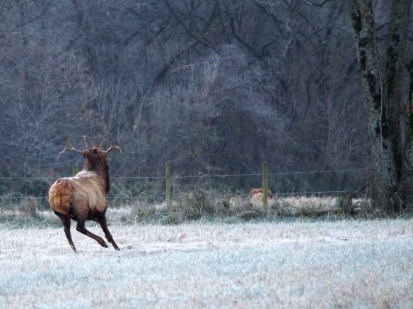 Doing my crock pot victory dance!!