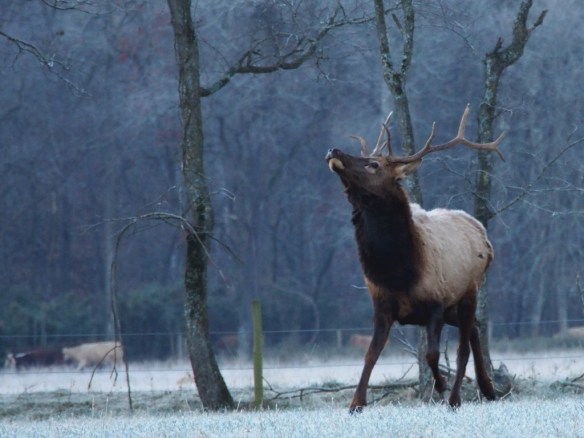 Victory is so sweet, but not as sweet as the deal I got on that crock pot!