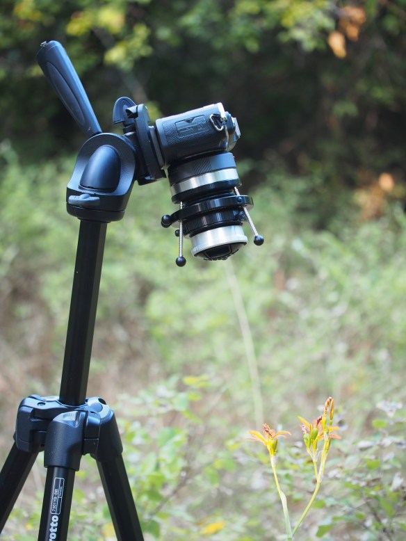 A side view of the tilt-shift set up on my tripod. Each of the threaded rods help you to fine tune the shift. For the shots in this post I went with a more casual approach - point, focus, shoot, try again. 