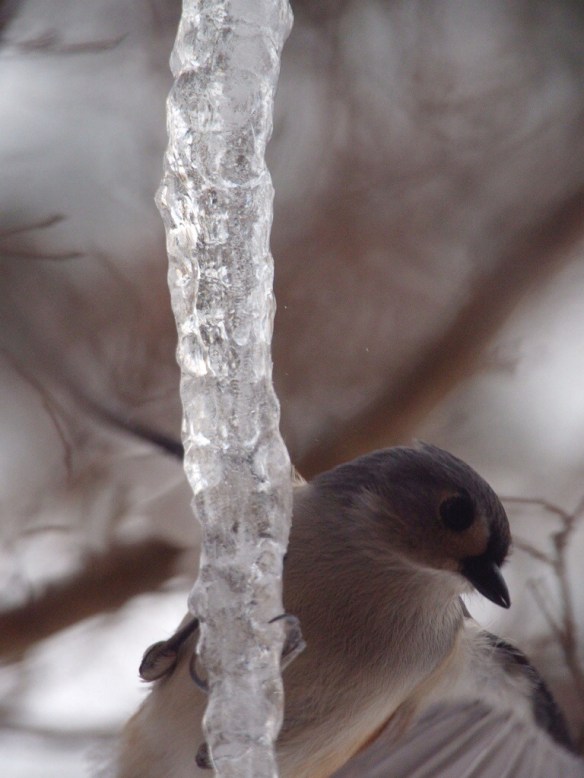 You are correct, this isn't about Honiebriggs.com ...